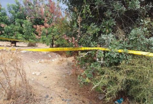 Άγνωστη η ταυτότητα και το φύλο του σκελ...